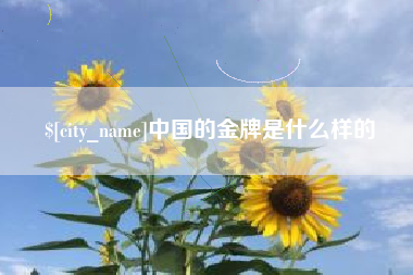 新野中国的金牌是什么样的