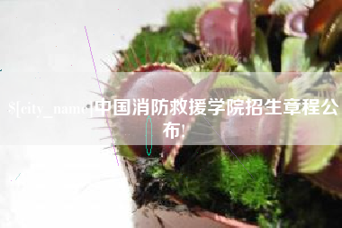 新野中国消防救援学院招生章程公布!