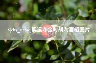 新野奥运夺金时刻九宫格图片