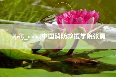 新野中国消防救援学院张勇