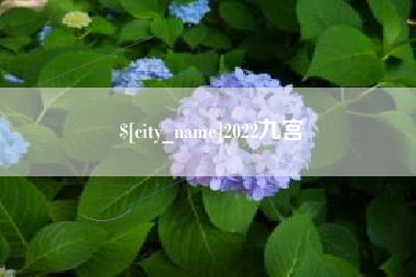 新野2022九宫