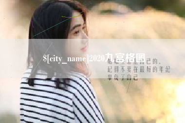 新野2020九宫格图