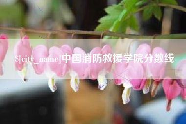 新野中国消防救援学院分数线