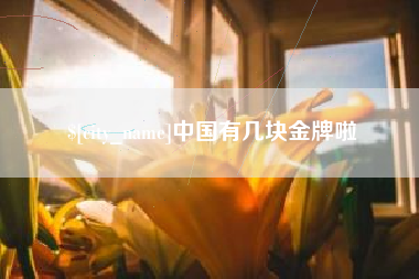 新野中国有几块金牌啦