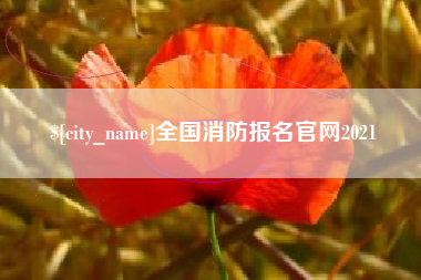 新野全国消防报名官网2021
