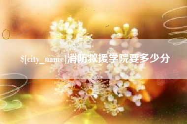 新野消防救援学院要多少分