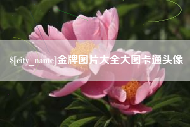 新野金牌图片大全大图卡通头像