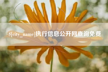 新野执行信息公开网查询免费
