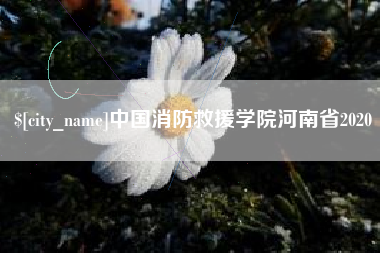 新野中国消防救援学院河南省2020